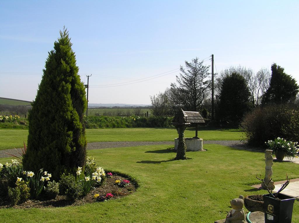 Greenfields Bed and Breakfast Clovelly Exterior foto